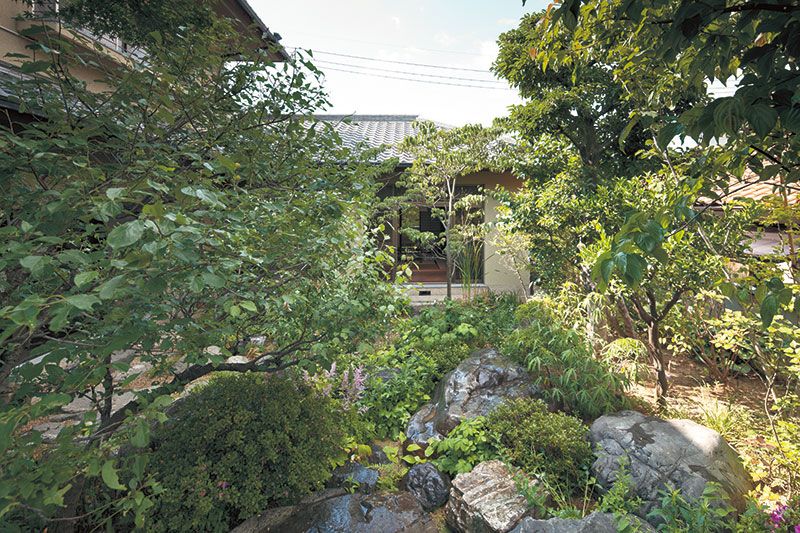 特集「庭・菜園」